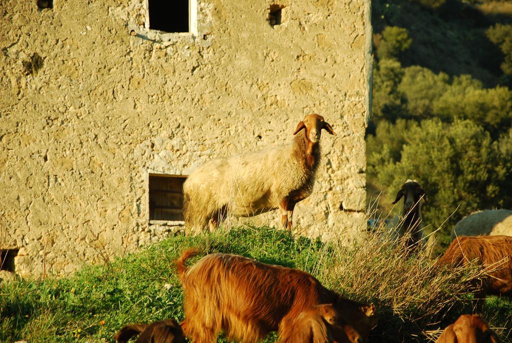Готель Experience Il Paesino Licodia Eubea Екстер'єр фото